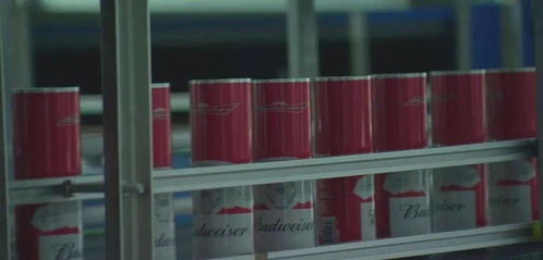 溫州印刷包裝企業(yè)求變創(chuàng)新 裝潢印務成轉(zhuǎn)型升級突破口