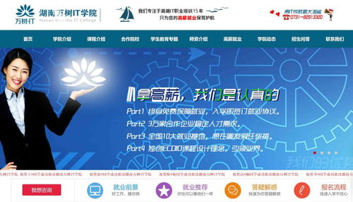 信息技術咨詢服務 電腦IT技術培訓學校如何通過海量信息霸屏獲取生源咨詢