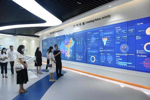 綿陽科技城科技服務(wù)有限責(zé)任公司總經(jīng)理白永淑一行蒞臨園區(qū)，共商信息技術(shù)咨詢服務(wù)發(fā)展